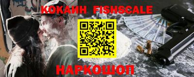 крисы Кулебаки