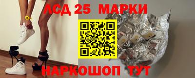 крисы Кулебаки
