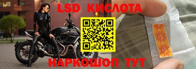 крисы Кулебаки