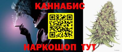 крисы Кулебаки