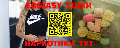 крисы Кулебаки