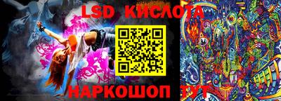 крисы Кулебаки